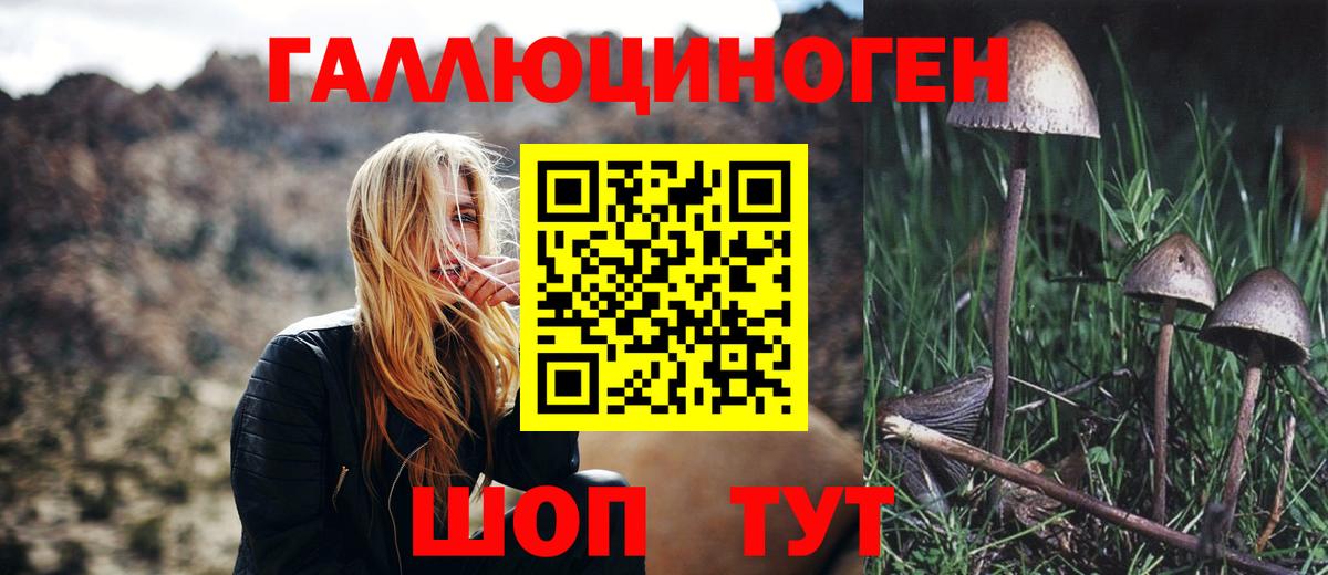 Скопин  Псилоцибиновые грибы прущие грибы  Вход с VPN 